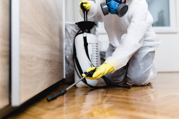 Best Ant Control Services  in Marion, KS
