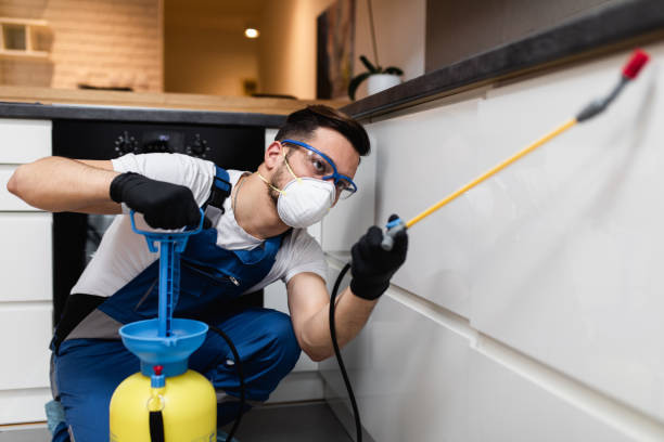 Reliable Marion, KS Pest Control Solutions