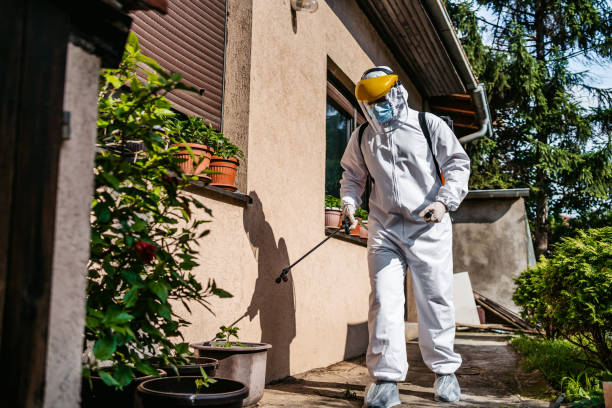 Best Cockroach Control Services  in Marion, KS