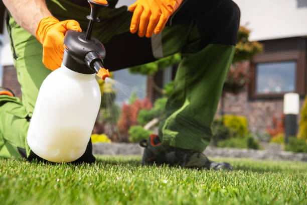 Best Mosquito Control Services  in Marion, KS