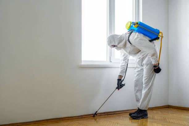 Best Termite Control Services  in Marion, KS