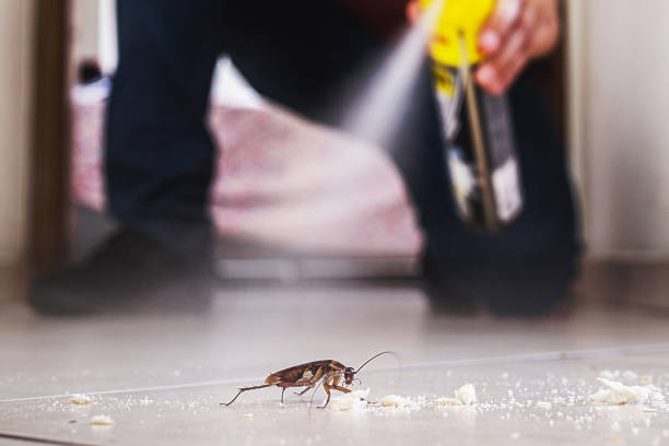 Best Bed Bug Extermination  in Marion, KS