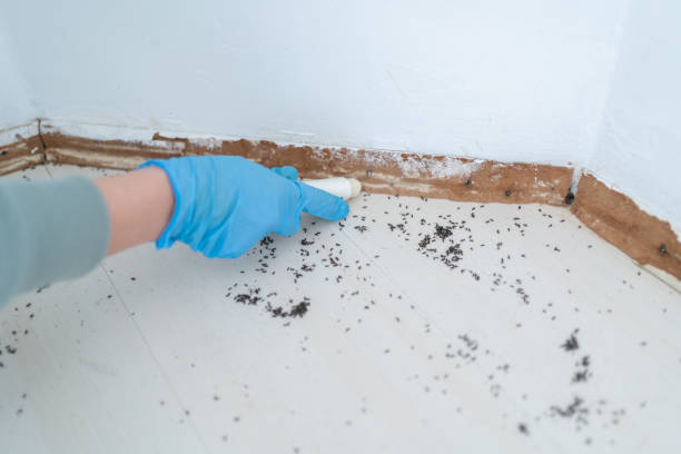 Pest Control for Restaurants in Marion, KS