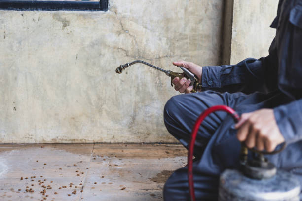 Wasp Removal Services in Marion, KS